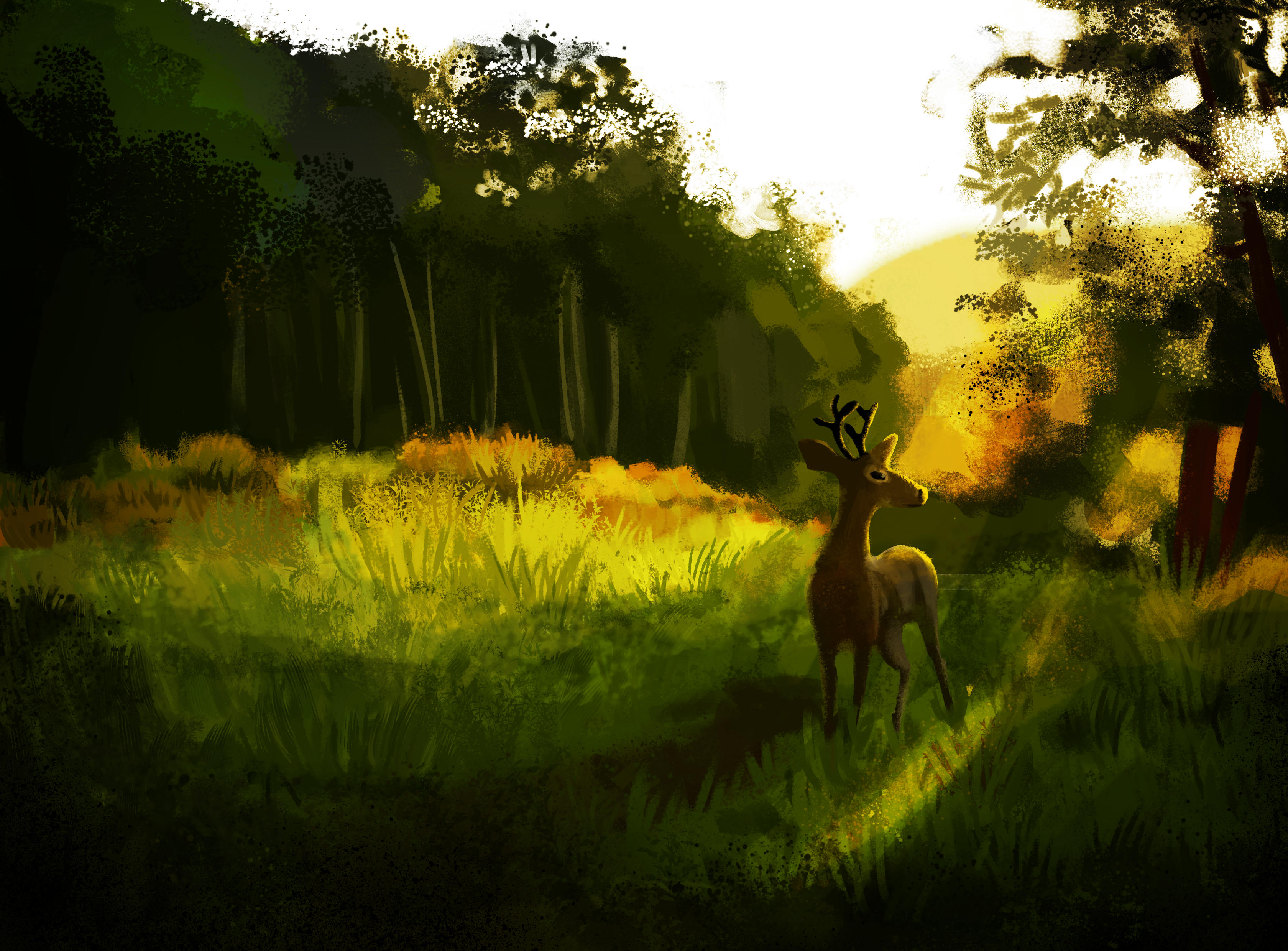 deer.png